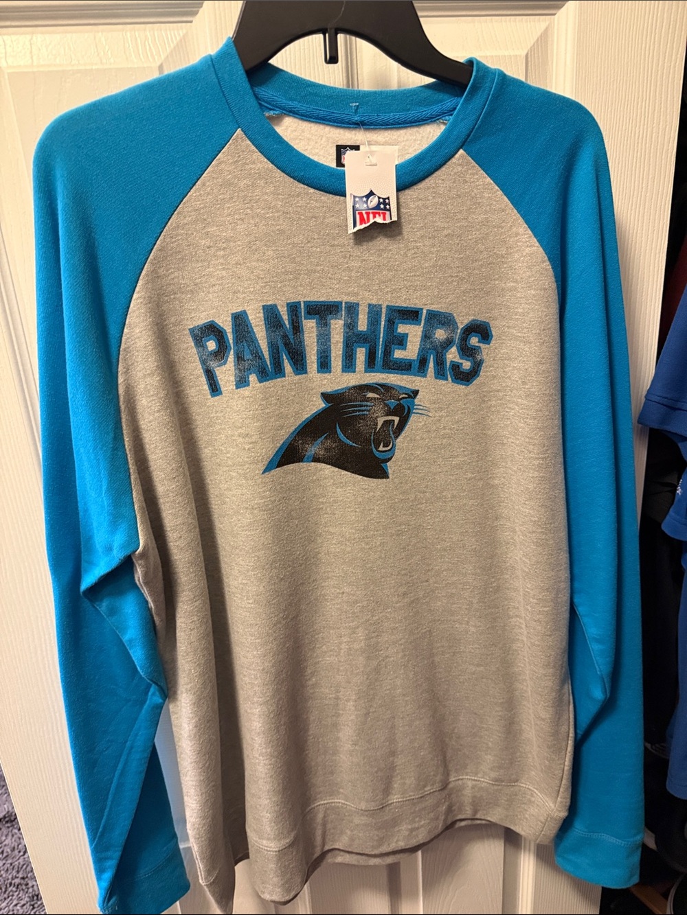 Panthers Raglan Crewneck Sweatshirt - Gray & Blue